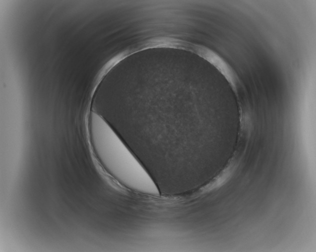 X0000115600954200911171125