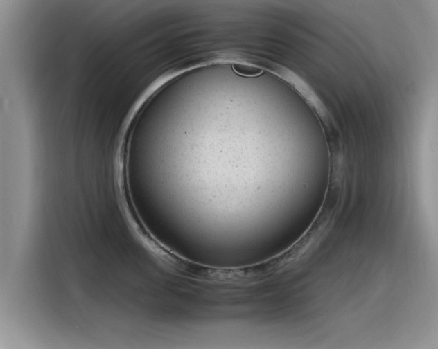 X0000115600955200911171125