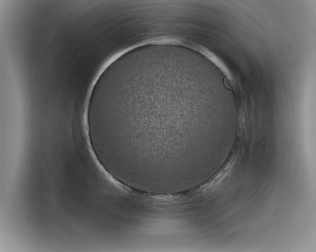 X0000115600959200911171125