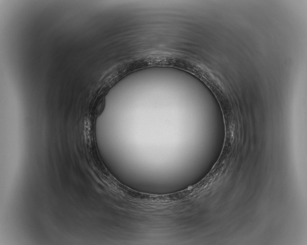 X0000115600964200911171125