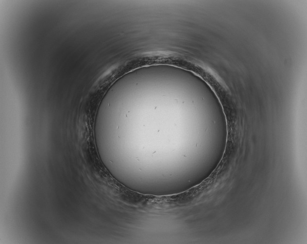 X0000115600967200911171125