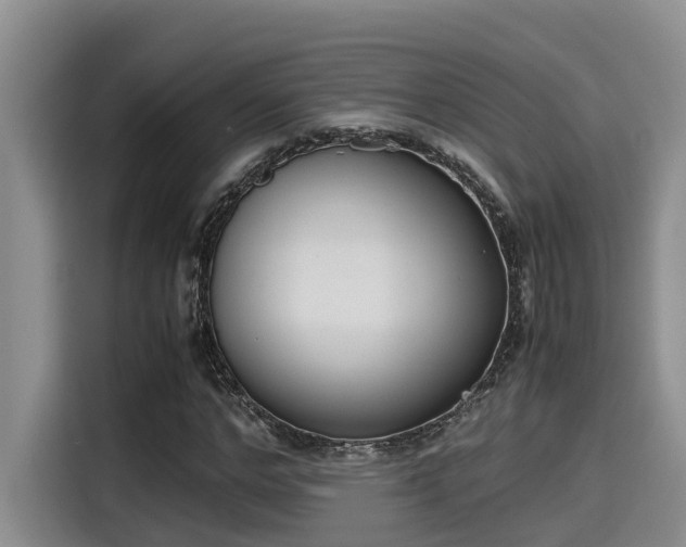 X0000115600968200911171125