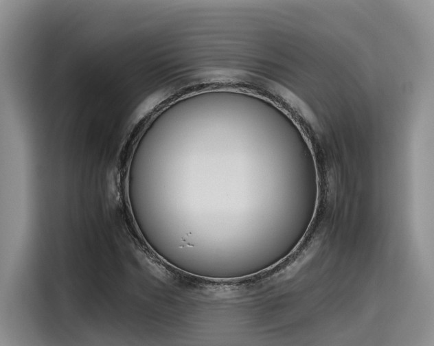 X0000115600970200911171125