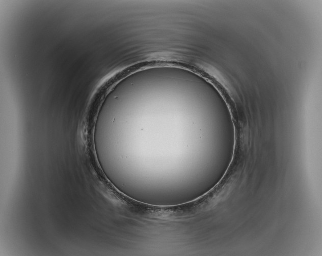 X0000115600971200911171125