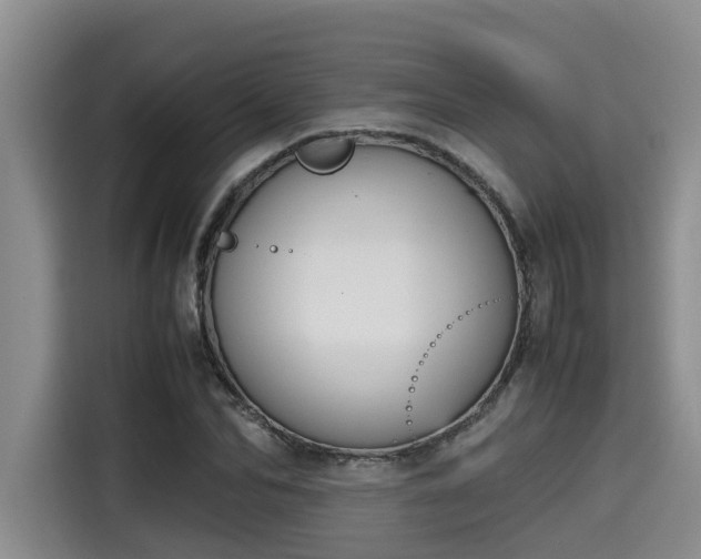 X0000115600974200911171125