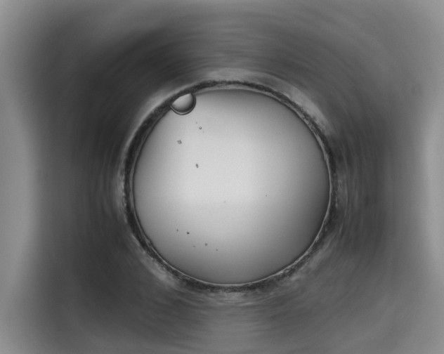 X0000115600976200911171125