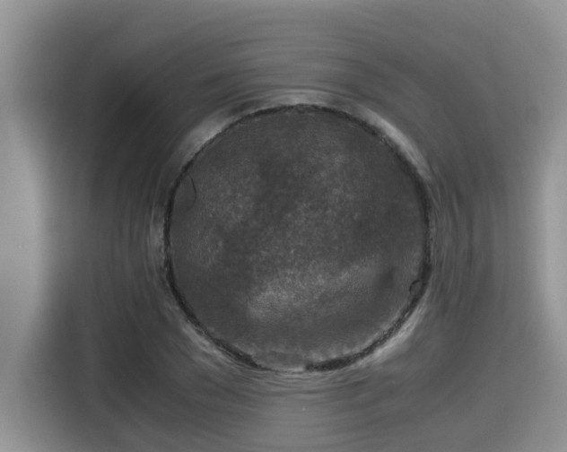 X0000115600977200911171125