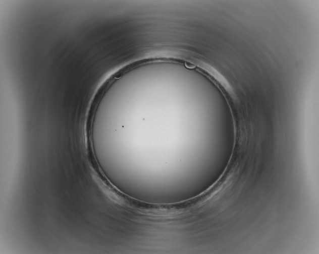 X0000115600980200911171125