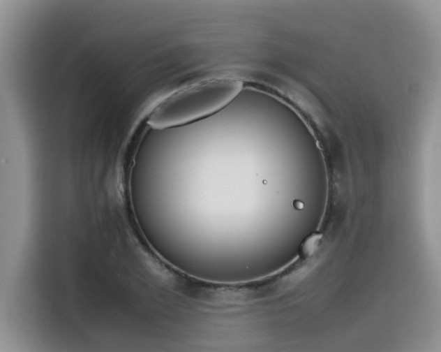 X0000115600981200911171125