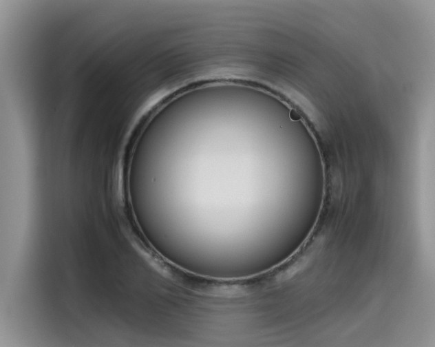 X0000115600982200911171125