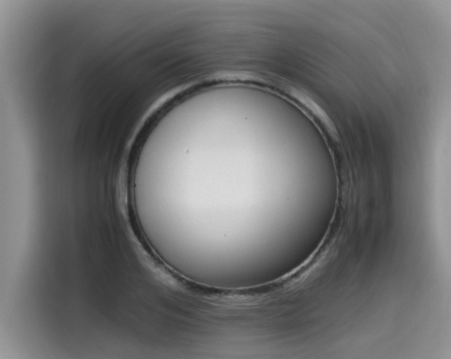 X0000115600984200911171125