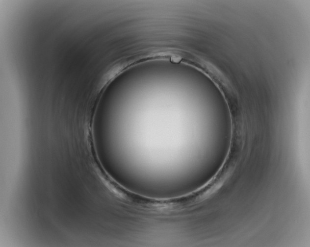 X0000115600985200911171125