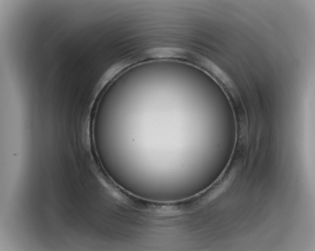 X0000115600986200911171125