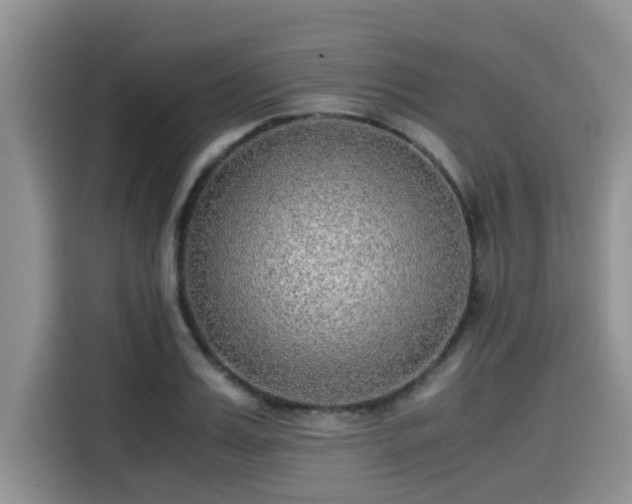 X0000115600987200911171125