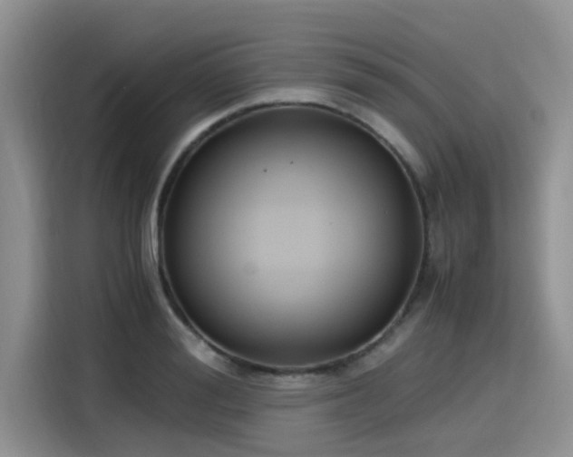 X0000115600988200911171125