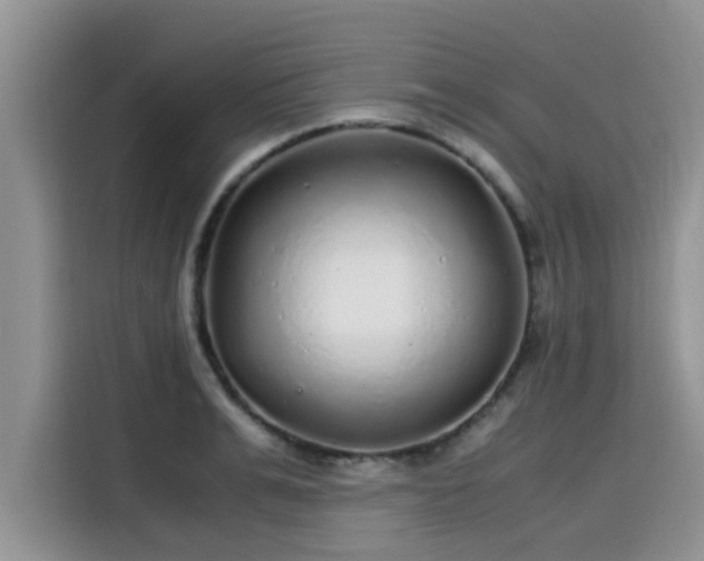 X0000115600991200911171124