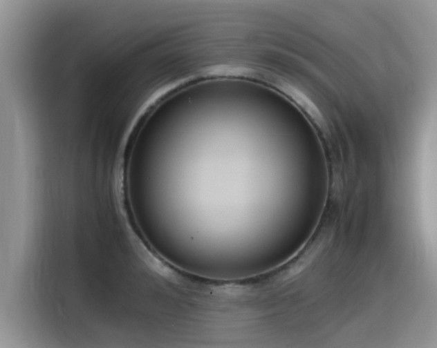 X0000115600992200911171124