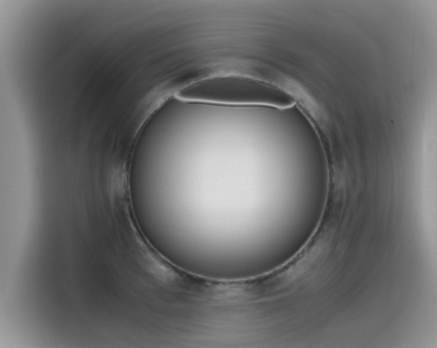 X0000115600993200911171124