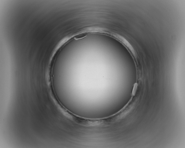 X0000115600997200911171124