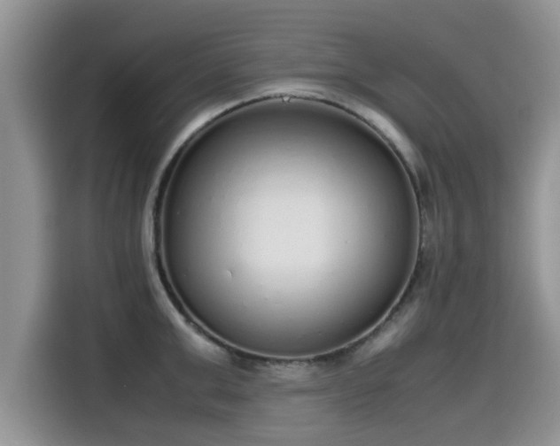 X0000115600999200911171124