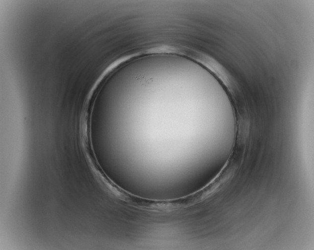 X0000115601000200911171124