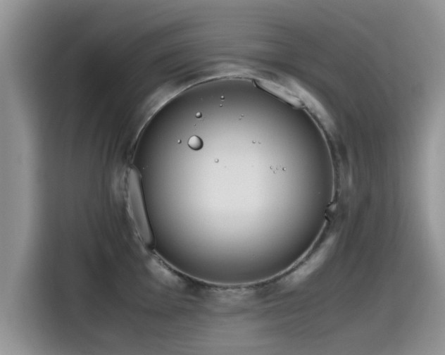 X0000115601001200911171124