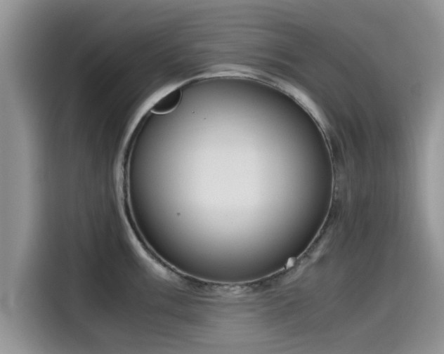 X0000115601003200911171124