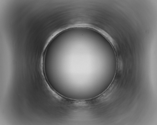 X0000115601006200911171124