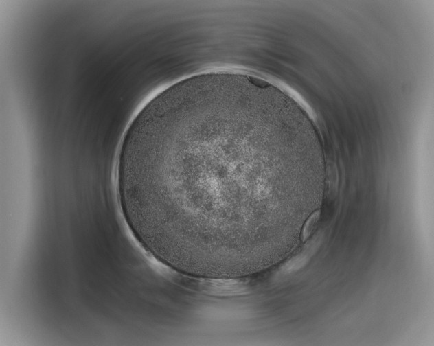 X0000115601007200911171124