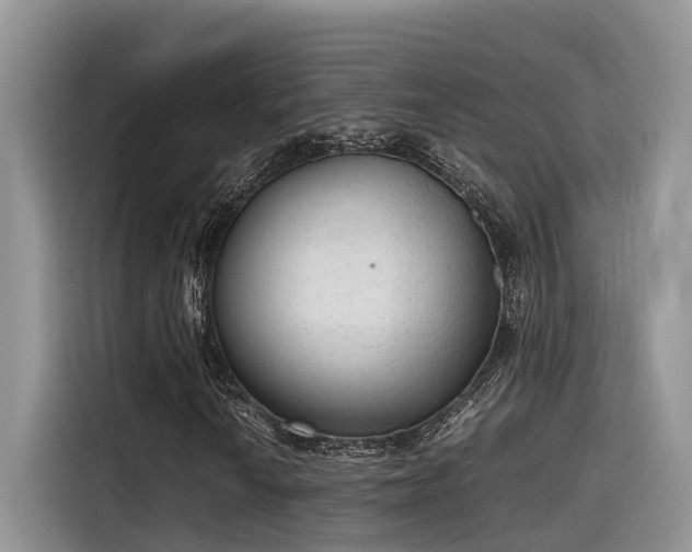 X0000115601010200911171124