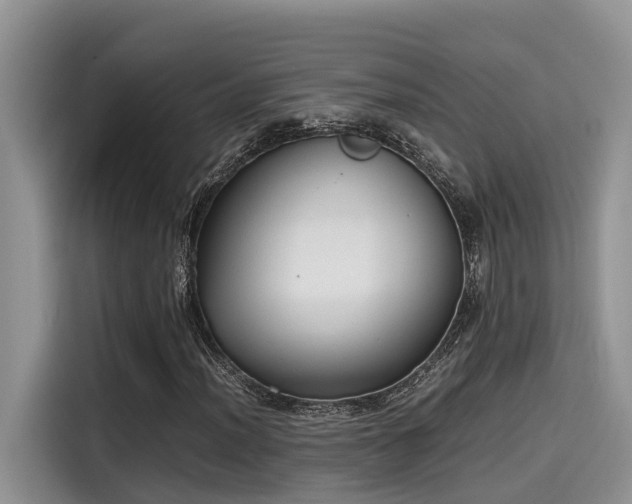 X0000115601012200911171124