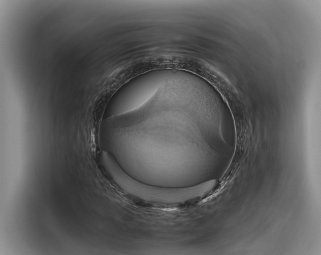 X0000115601013200911171124