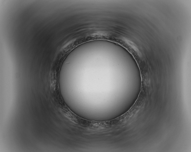 X0000115601015200911171124