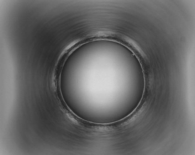 X0000115601018200911171124