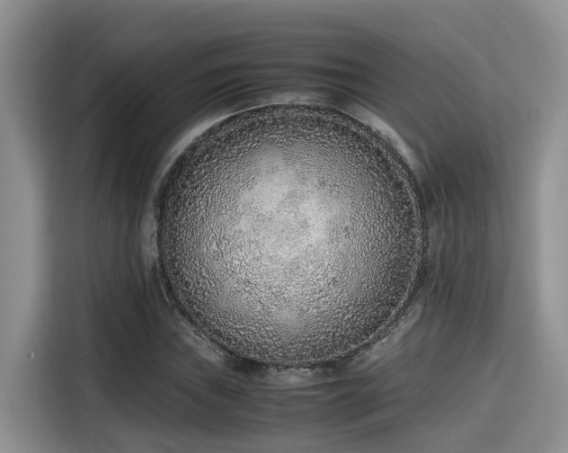 X0000115601019200911171124