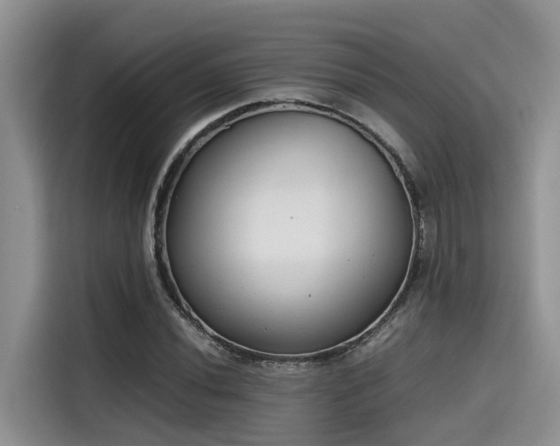 X0000115601020200911171124