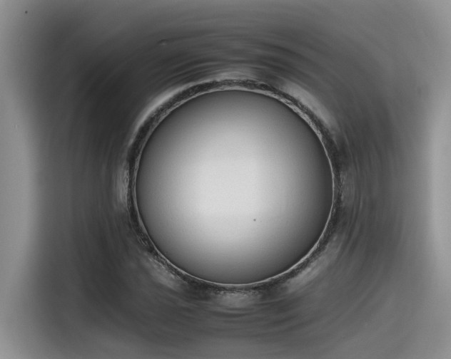 X0000115601021200911171124