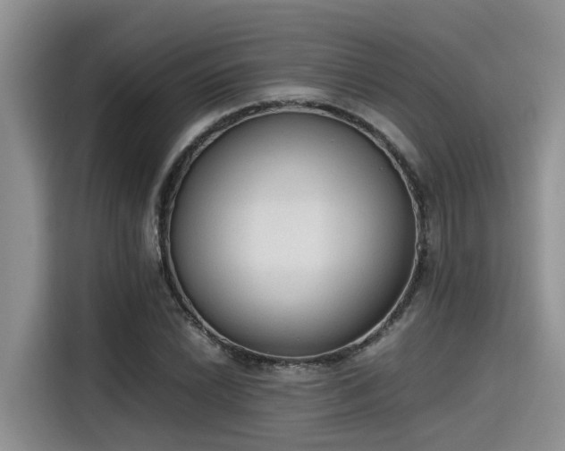 X0000115601022200911171124