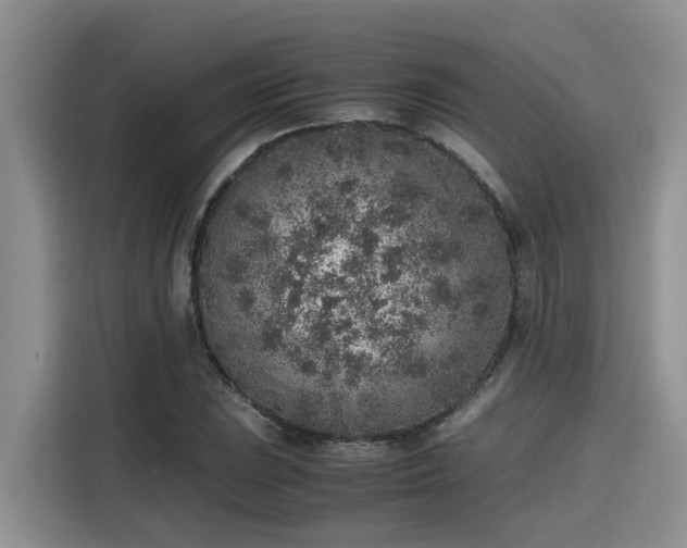 X0000115601023200911171124