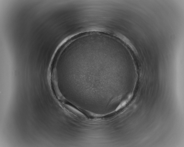 X0000115601024200911171124