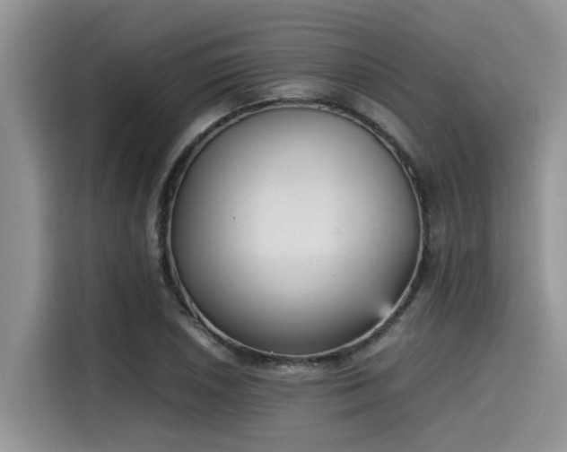 X0000115601026200911171124