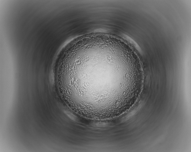 X0000115601027200911171124