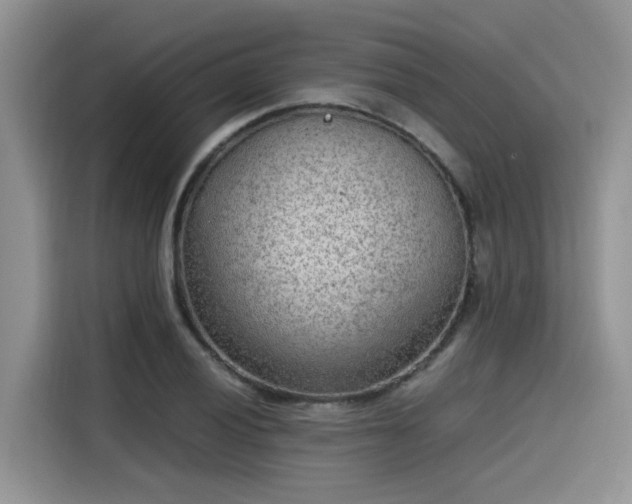 X0000115601028200911171124