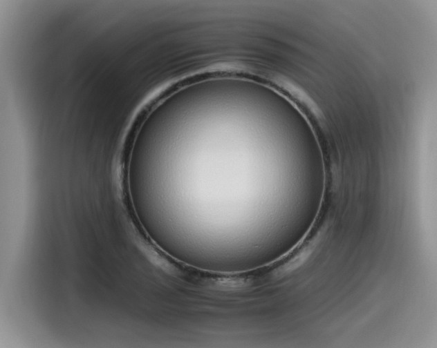 X0000115601029200911171124