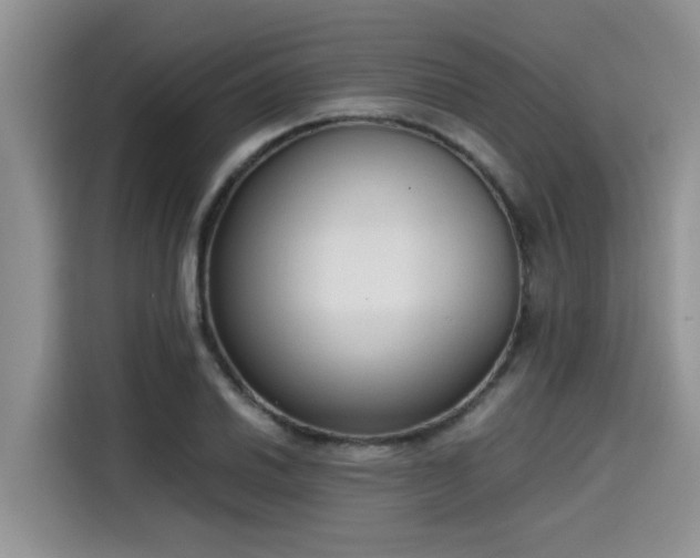 X0000115601030200911171124