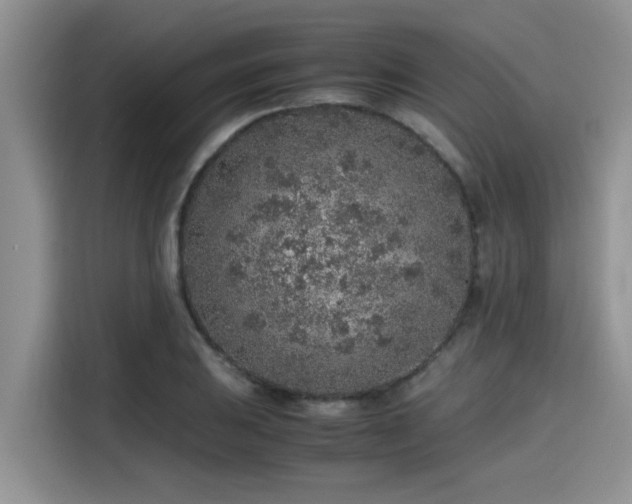 X0000115601031200911171124