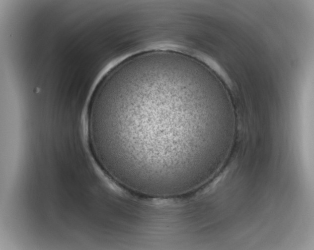 X0000115601032200911171124