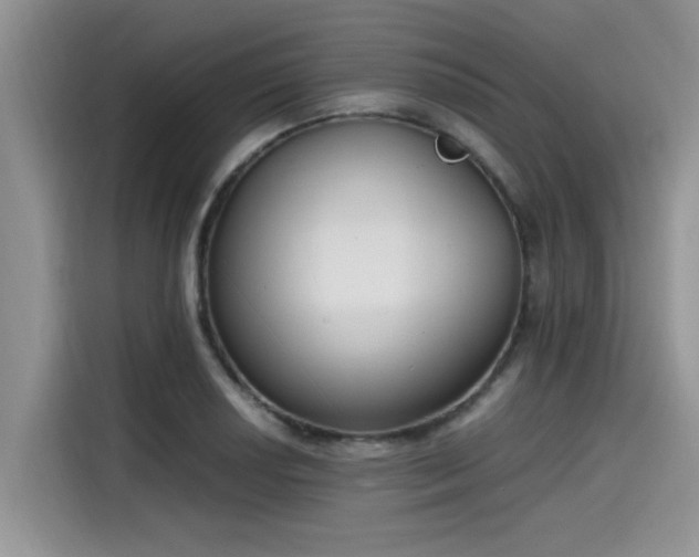 X0000115601034200911171124