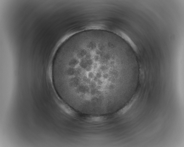 X0000115601035200911171124