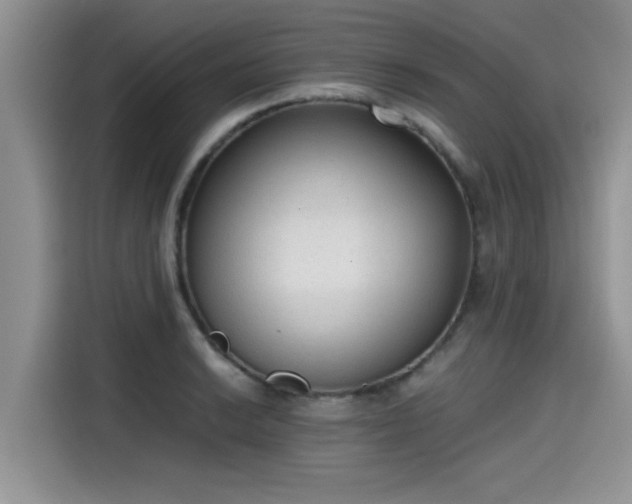 X0000115601038200911171124